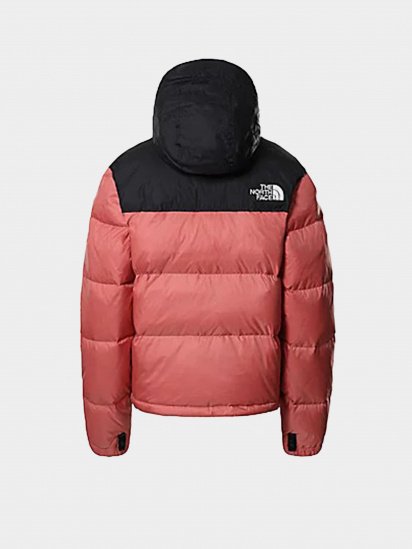 Зимняя куртка The North Face 1996 Retro Nuptse Jacket модель NF0A3XEOUBG1 — фото - INTERTOP