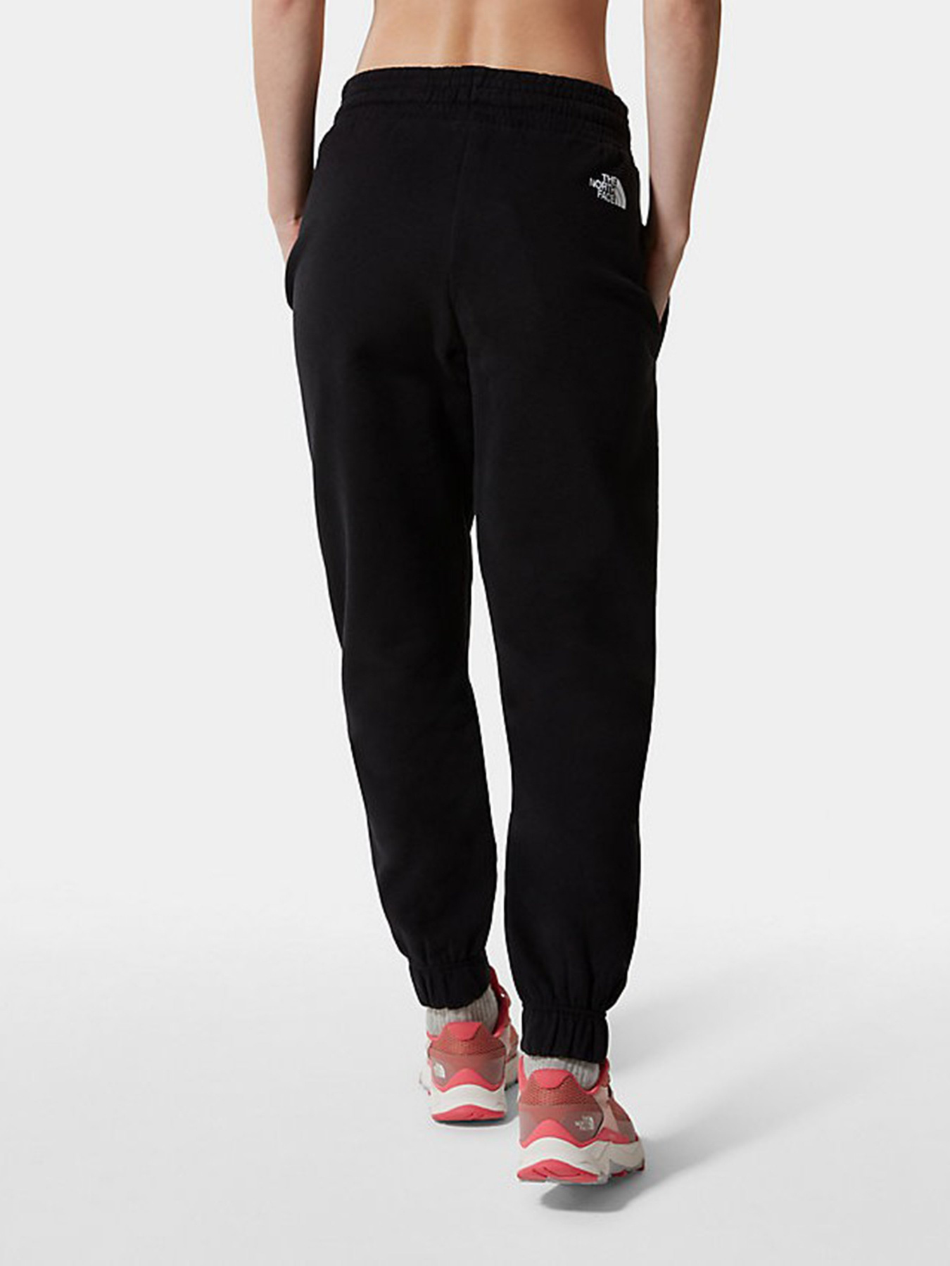 Штаны спортивные The North Face Standard модель NF0A5ID4JK31 Фото