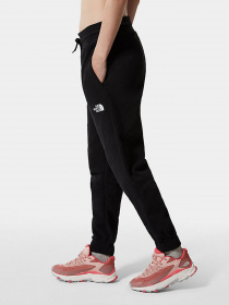 Спортивні штани The North Face Standard модель NF0A5ID4JK31 Фото