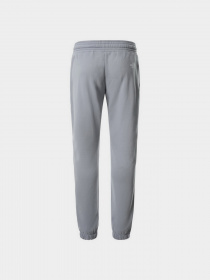 Штани спортивні The North Face Standard модель NF0A5ID4ZDK1 Фото