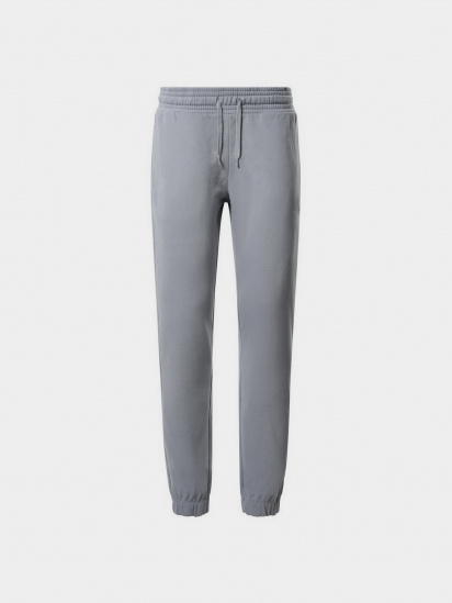 Штани спортивні The North Face Standard модель NF0A5ID4ZDK1 - фото
