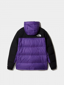 Пуховик The North Face HMLYN модель NF0A4QYXJC01 Фото