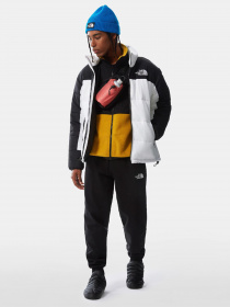 Зимняя куртка The North Face HMLYN модель NF0A4QYZFN41 Фото