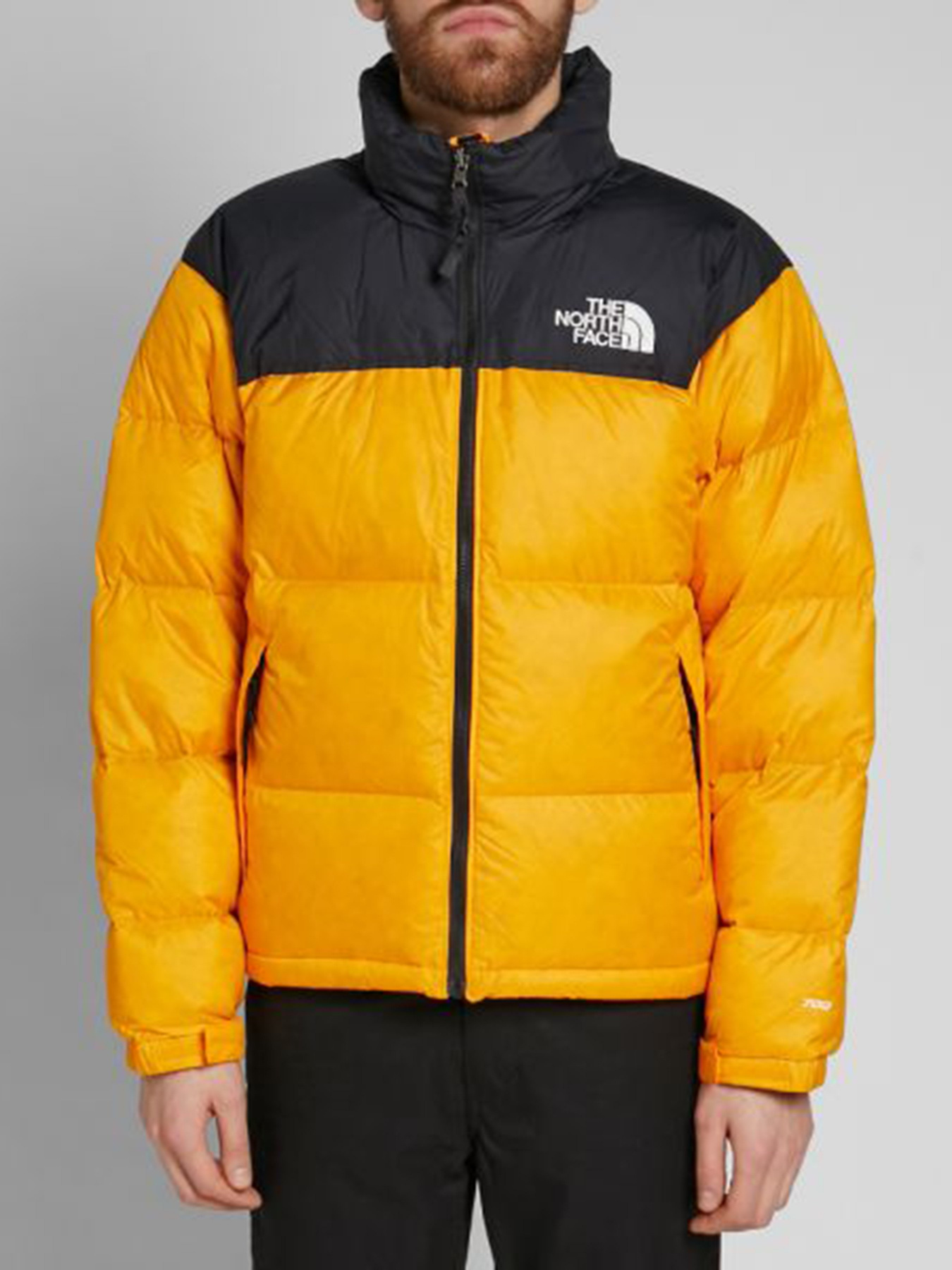 Зимняя куртка The North Face Retro Nuptse 1996 модель NF0A3C8DH9D1 Фото
