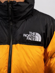 Зимняя куртка The North Face Retro Nuptse 1996 модель NF0A3C8DH9D1 Фото