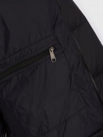 Пуховик The North Face Retro Nuptse 1996 модель NF0A3C8DLE41 Фото