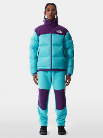 Зимова куртка The North Face Retro Nuptse 1996 модель NF0A3C8D25D1 Фото