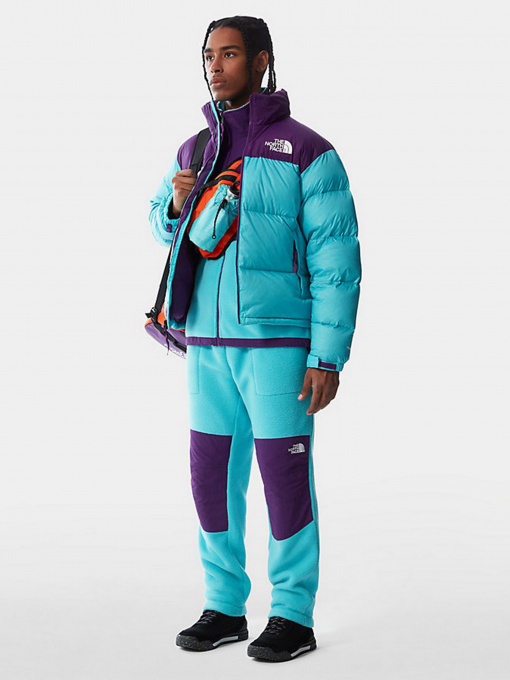 Зимняя куртка The North Face Retro Nuptse 1996 модель NF0A3C8D25D1 Фото