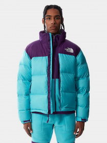 Зимняя куртка The North Face Retro Nuptse 1996 модель NF0A3C8D25D1 Фото