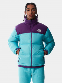 Зимняя куртка The North Face Retro Nuptse 1996 модель NF0A3C8D25D1 Фото