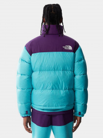 Зимняя куртка The North Face Retro Nuptse 1996 модель NF0A3C8D25D1 Фото