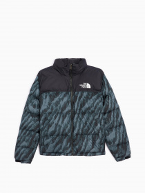 Зимняя куртка The North Face Retro Nuptse 1996 модель NF0A5IX429L1 Фото