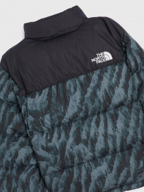 Зимняя куртка The North Face Retro Nuptse 1996 модель NF0A5IX429L1 Фото
