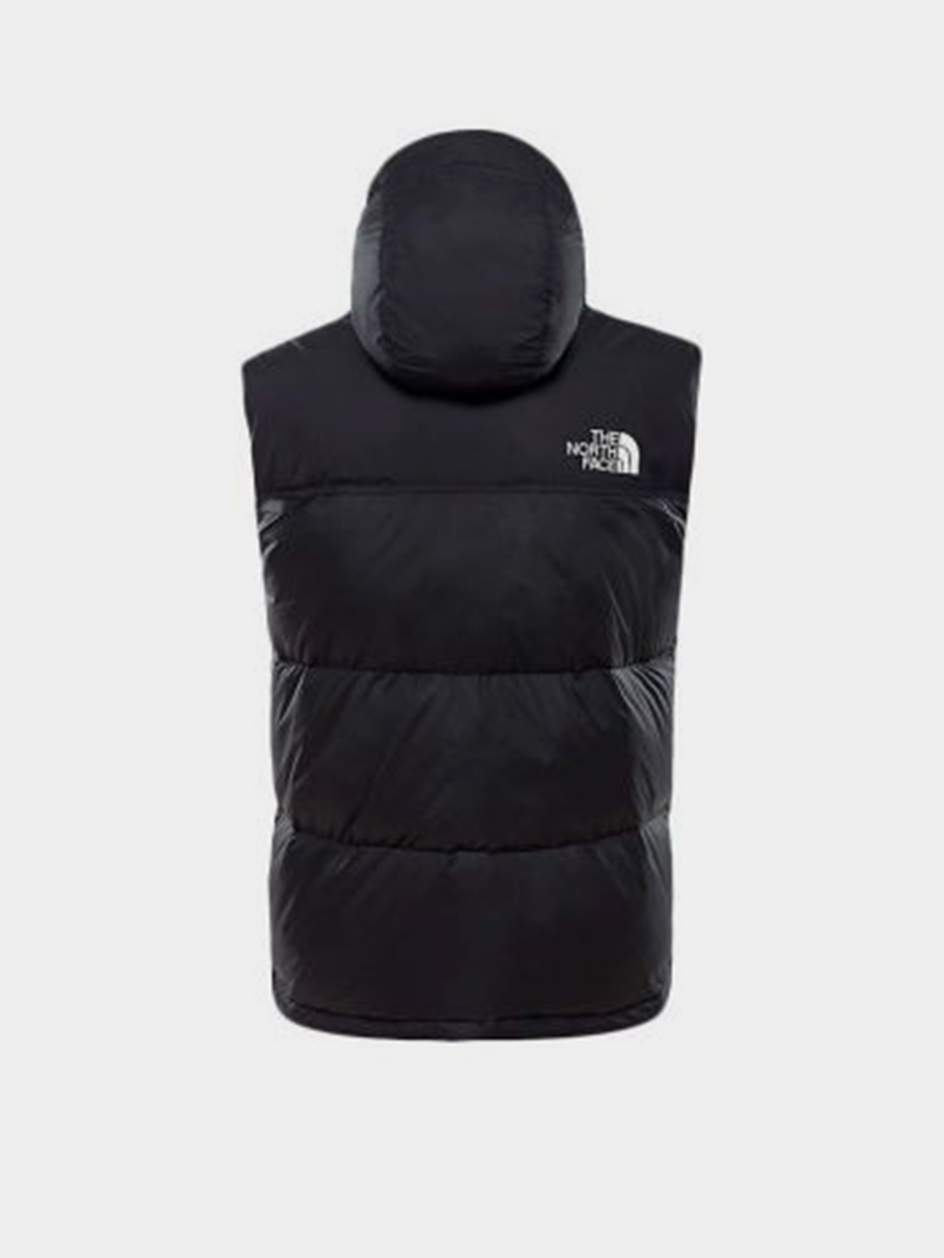 Утепленный жилет The North Face Nuptse 1996 модель NF0A3JQQLE41 Фото