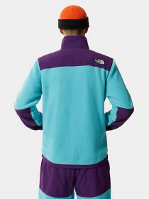 Кофта The North Face Denali 2 модель NF0A4QYJ25D1 Фото