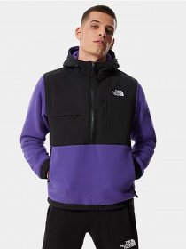 Кофта The North Face Denali 2 модель NF0A4QYNJC01 Фото