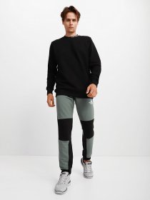 Штани спортивні The North Face Himalayan модель NF0A4SWOHBS1 Фото