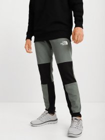 Штани спортивні The North Face Himalayan модель NF0A4SWOHBS1 Фото