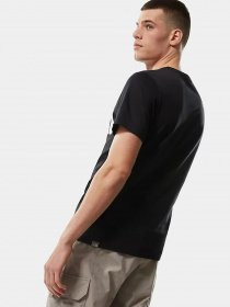 Футболки і поло The North Face Standard Ls Basic Logo модель NF0A4M7XJK31 Фото