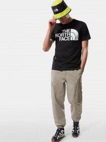 Футболки и поло The North Face Standard Ls Basic Logo модель NF0A4M7XJK31 Фото