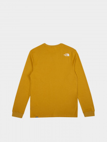 Лонгслив The North Face модель NF0A37FTH9D1 Фото