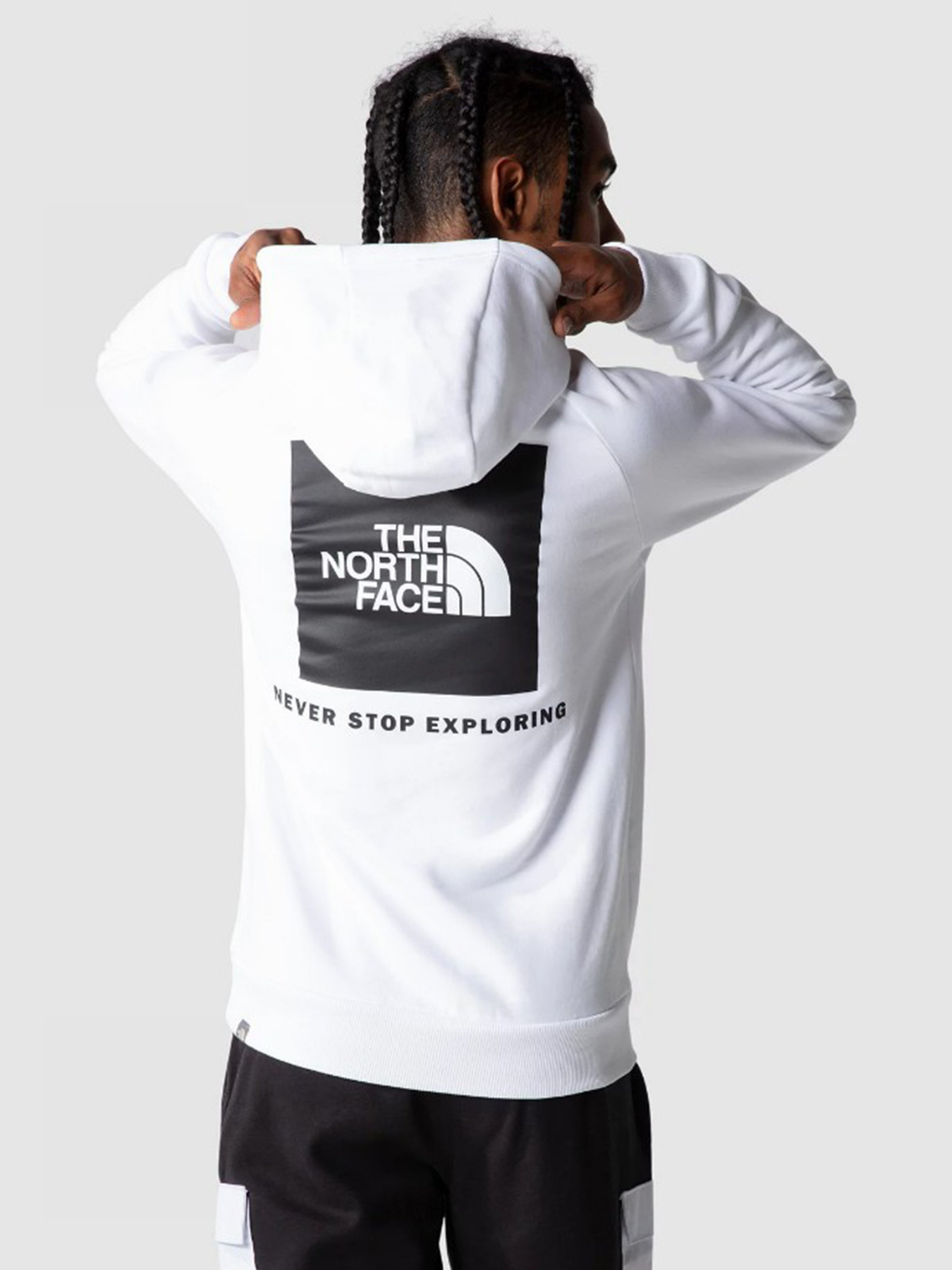 Худі The North Face Raglan Red Box HD модель NF0A2ZWUFN41 Худі The North Face Raglan Red Box HD модель NF0A2ZWUFN41 Фото