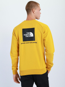 Свитшот The North Face Redbox модель NF0A4SZ9H9D1 Фото