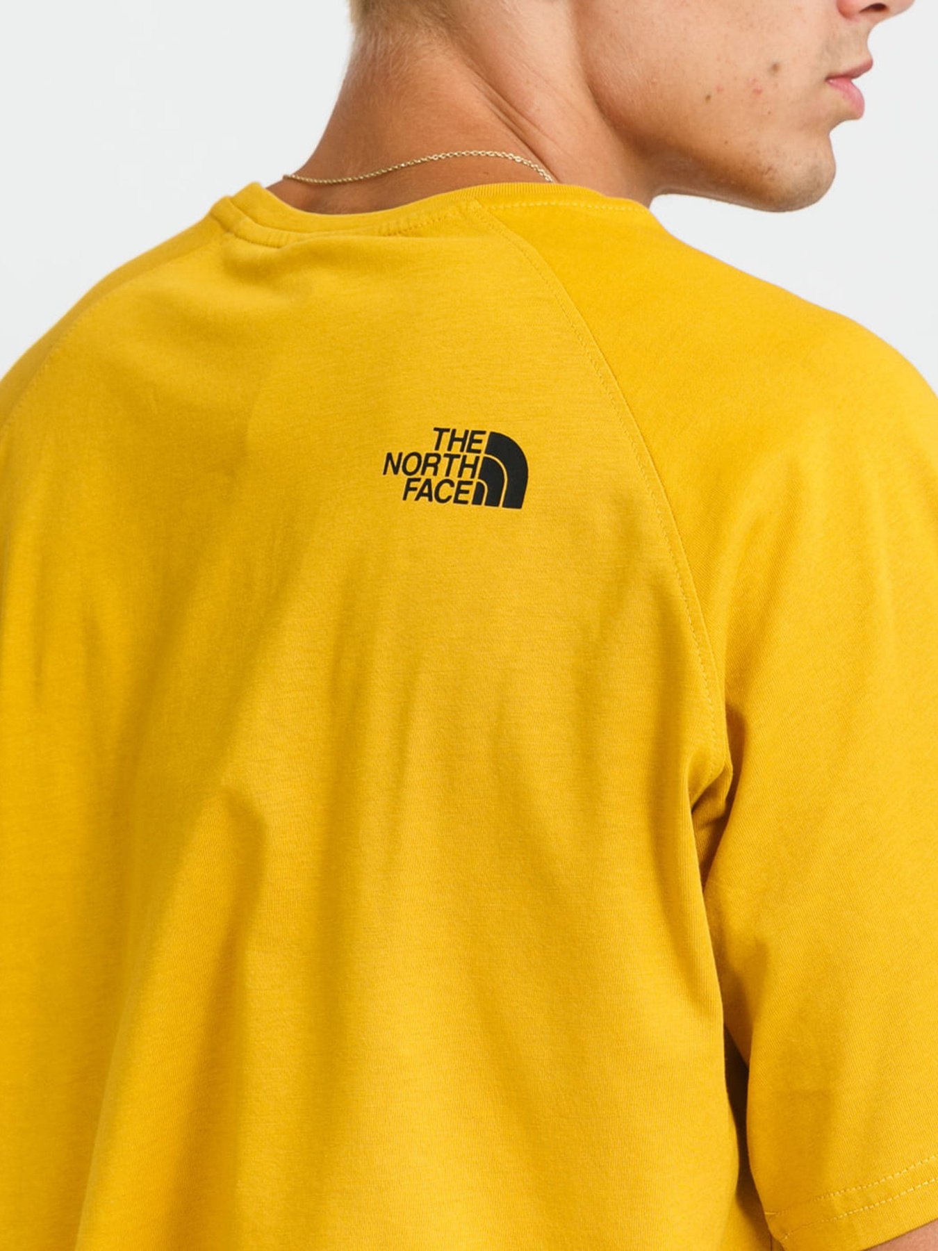 Футболки и поло The North Face Red Box модель NF0A3BQOH9D1 Фото