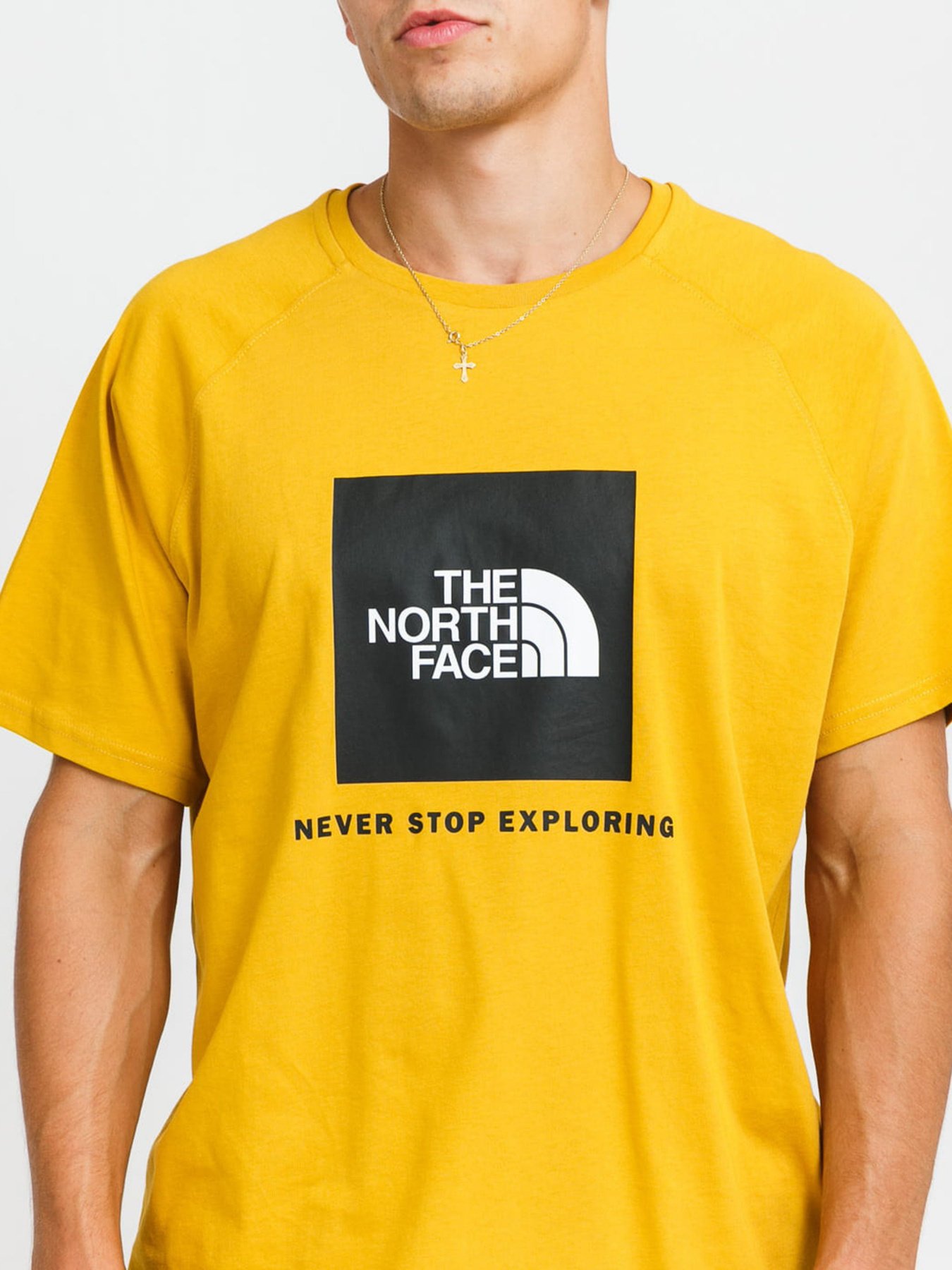 Футболки і поло The North Face Red Box модель NF0A3BQOH9D1 Футболки і поло The North Face Red Box модель NF0A3BQOH9D1 Фото