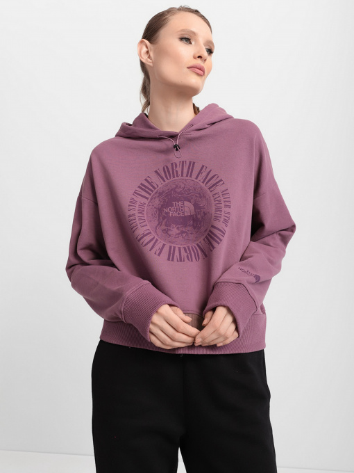 Худі The North Face Recycled Expedition Graphic модель NF0A5GII0H51 Фото