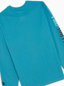 Реглан The North Face Recycled Expedition Graphic модель NF0A5GEU4Y31 Фото