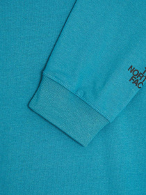Реглан The North Face Recycled Expedition Graphic модель NF0A5GEU4Y31 Фото