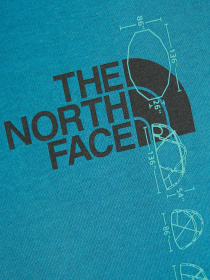 Реглан The North Face Recycled Expedition Graphic модель NF0A5GEU4Y31 Фото