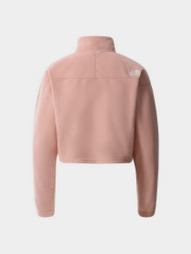 Кофта The North Face Cropped Glacier Fleece модель NF0A7SS90LA1 Фото