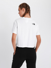 Футболка The North Face Zumu Crop модель NF0A5ILXFN41 Фото