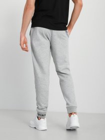 Штаны спортивные The North Face Zumu Fleece модель NF0A5ILIDYX1 Фото