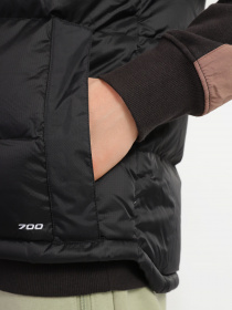Жилет с утеплителем The North Face Diablo Down Gilet модель NF0A4M9KKX71 Фото