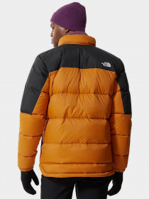Пуховик The North Face Diablo Down модель NF0A4M9JAUV1 Фото