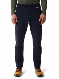 Повседневные штаны The North Face Diablo модель NF00A8MPRG11 Фото