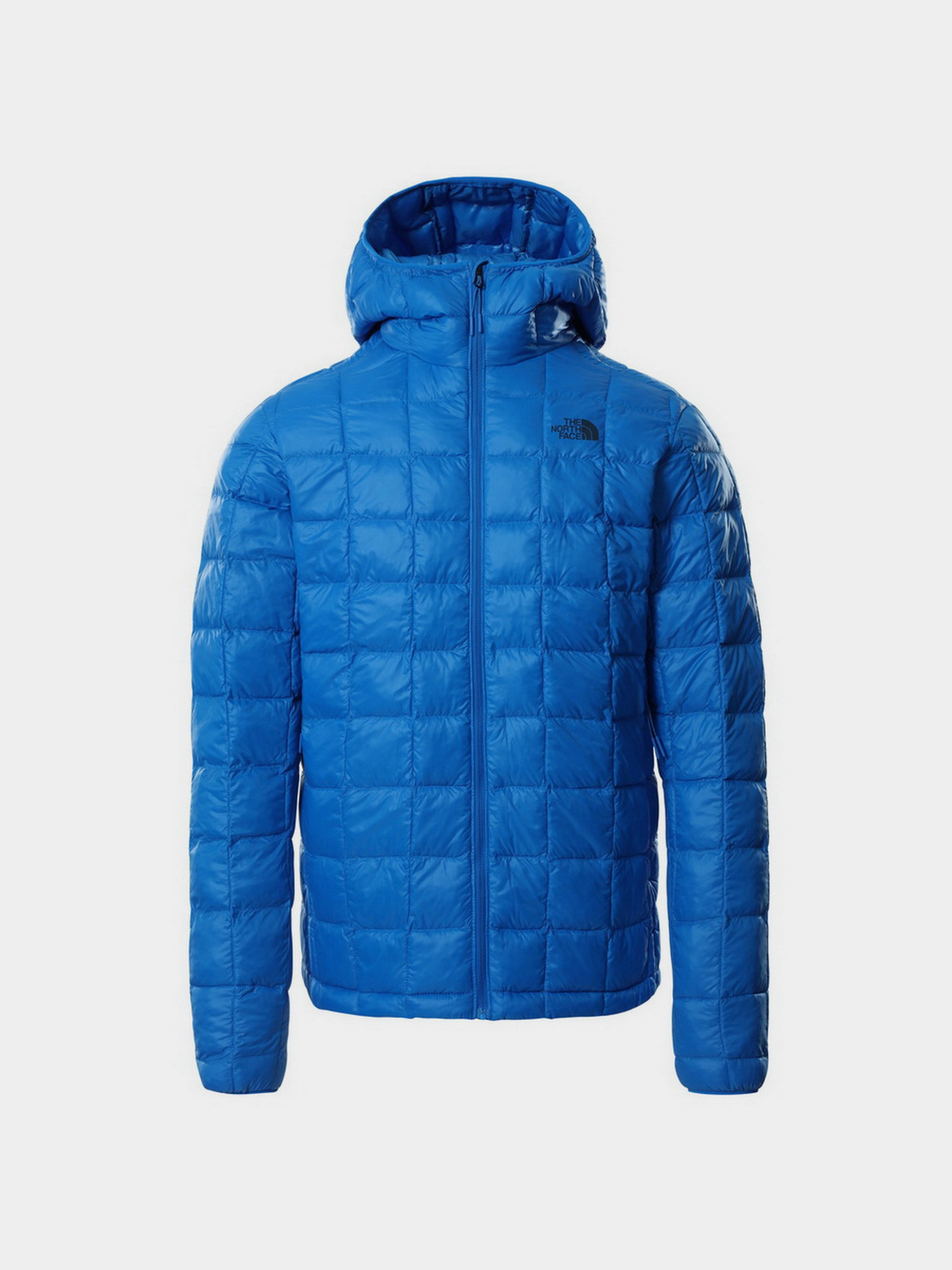 Демисезонная куртка The North Face ThermoBall™ Eco Hoodie модель NF0A5GLKT4S1 Фото