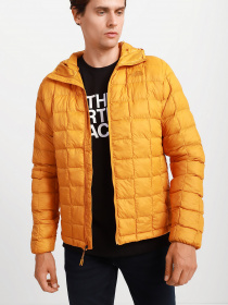 Зимняя куртка The North Face ThermoBall™ Eco Hoodie модель NF0A5GLKHBX1 Зимняя куртка The North Face ThermoBall™ Eco Hoodie модель NF0A5GLKHBX1 Фото