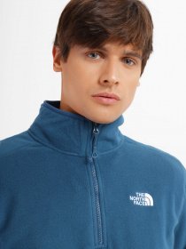 Кофта The North Face 100 Glacier 1/4 Zip Zip модель NF0A5IHPBH71 Фото