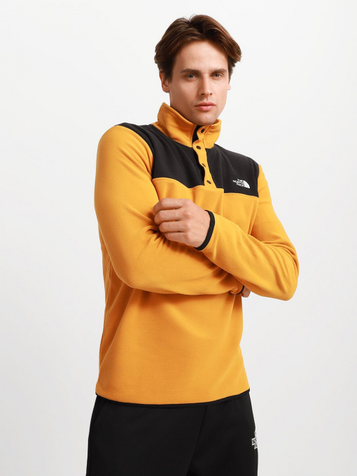 Кофта The North Face Tka Glacier Snap-Neck Pullover модель NF0A4AJDAUV1 Фото