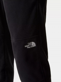 Штаны спортивные The North Face TKA Glacier модель NF0A48KSJK31 Фото