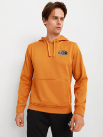 Худи The North Face Exploration Pullover Fleece Heren модель NF0A5G9SHMJ1 Фото