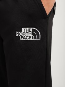 Штаны спортивные The North Face Explore модель NF0A5G9PJK31 Фото