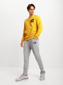 Штаны спортивные The North Face Explore модель NF0A5G9PDYX1 Фото