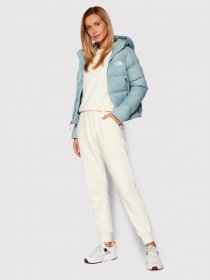 Пуховик The North Face Hyalite Down модель NF0A3Y4RBDT1 Фото