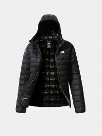 Зимняя куртка The North Face Thermoball Eco модель NF0A5GLCJK31 Фото