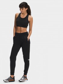 Штани спортивні The North Face Exploration Fleece модель NF0A5GB9HV21 Фото